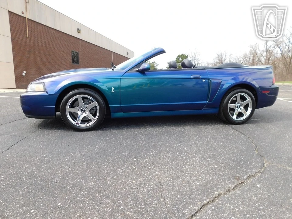 2004 Ford SN95 Mustang Cobra - Image 10 of 21