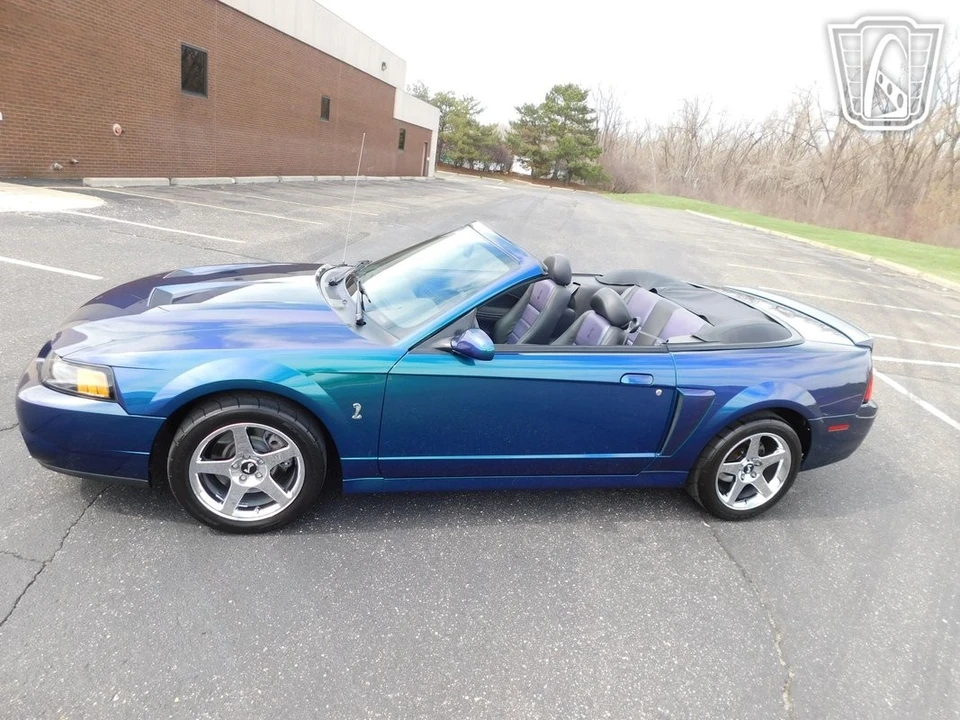 2004 Ford SN95 Mustang Cobra - Image 12 of 21