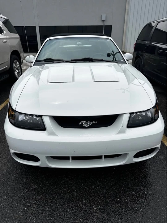 2004 Ford SN95 Mustang Cobra - Image 2 of 10