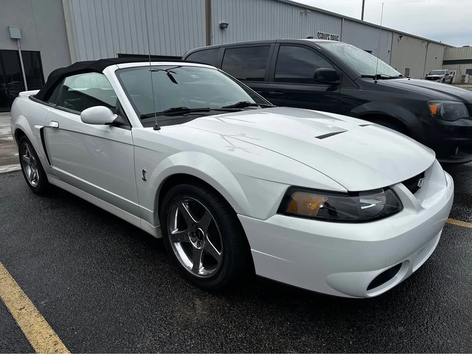 2004 Ford SN95 Mustang Cobra - Image 3 of 10