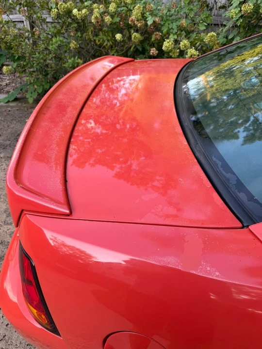 2004 Ford SN95 Mustang Cobra - Image 8 of 9