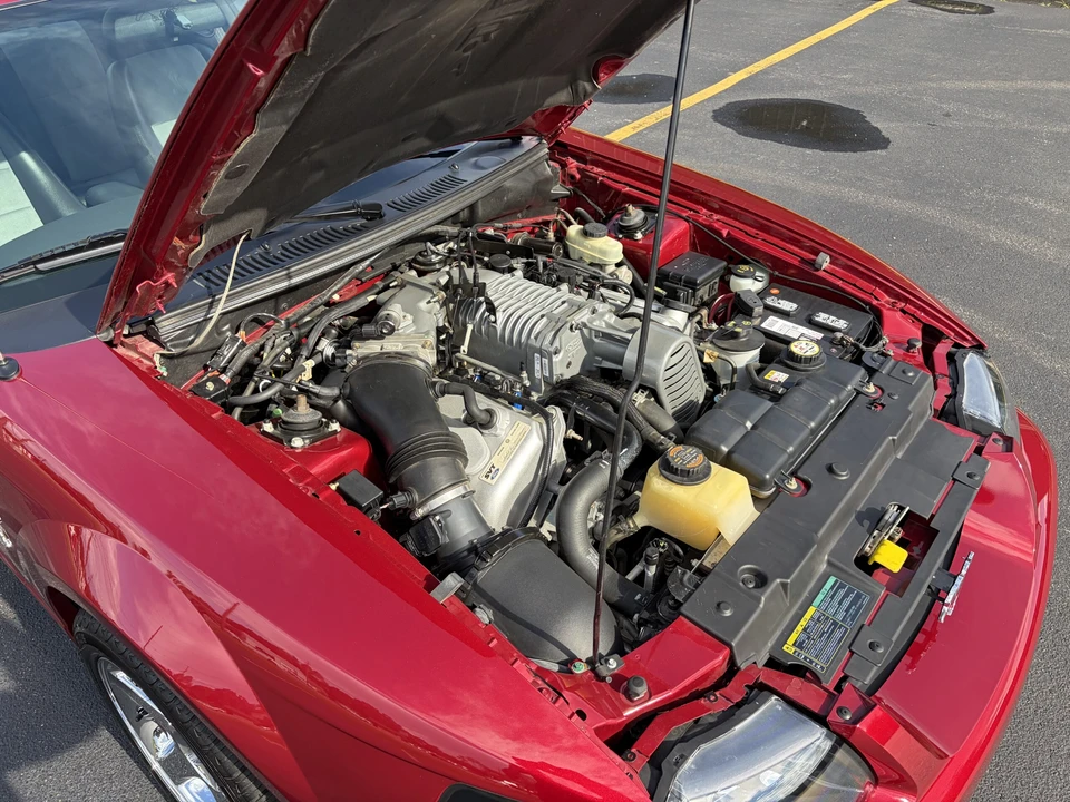2004 Ford SN95 Mustang Cobra - Image 25 of 28