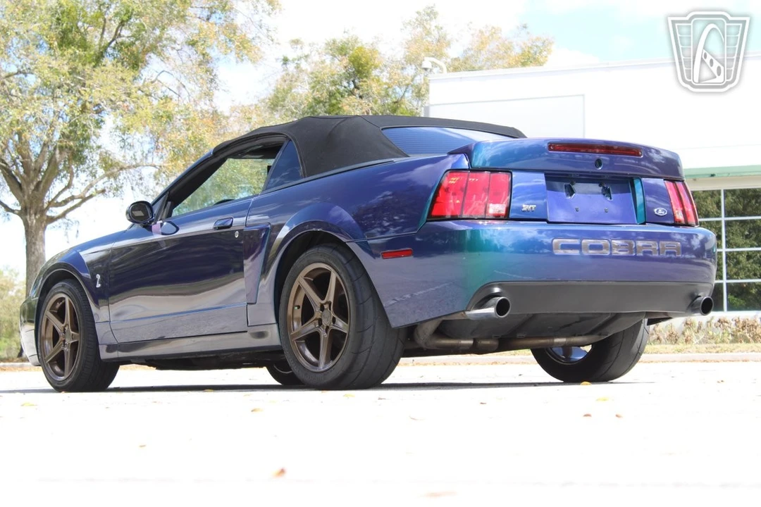 2004 Ford SN95 Mustang Cobra - Image 6 of 12