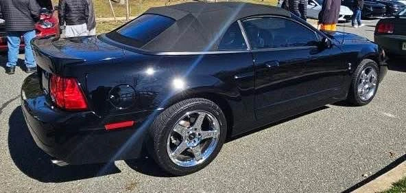 2004 Ford SN95 Mustang Cobra - Image 2 of 5