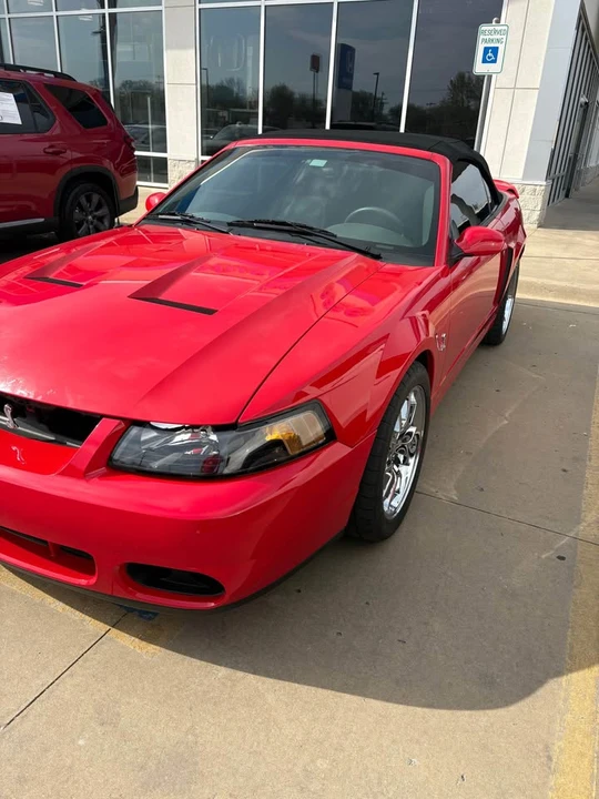 2004 Ford SN95 Mustang Cobra - Image 4 of 4