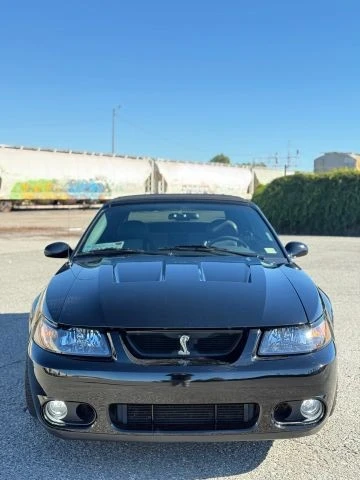 2004 Ford SN95 Mustang Cobra - Image 13 of 16