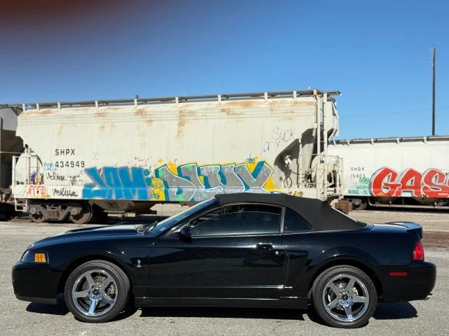 2004 Ford SN95 Mustang Cobra - Image 5 of 16