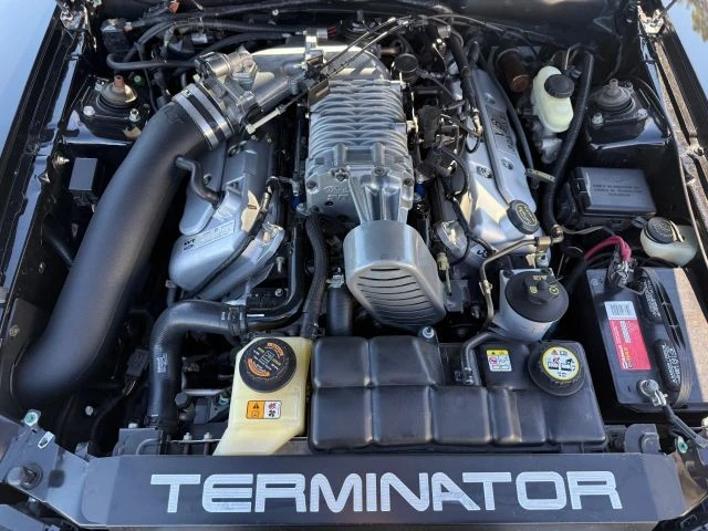 2004 Ford SN95 Mustang Cobra - Image 2 of 16
