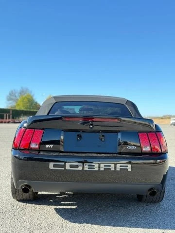 2004 Ford SN95 Mustang Cobra - Image 7 of 16