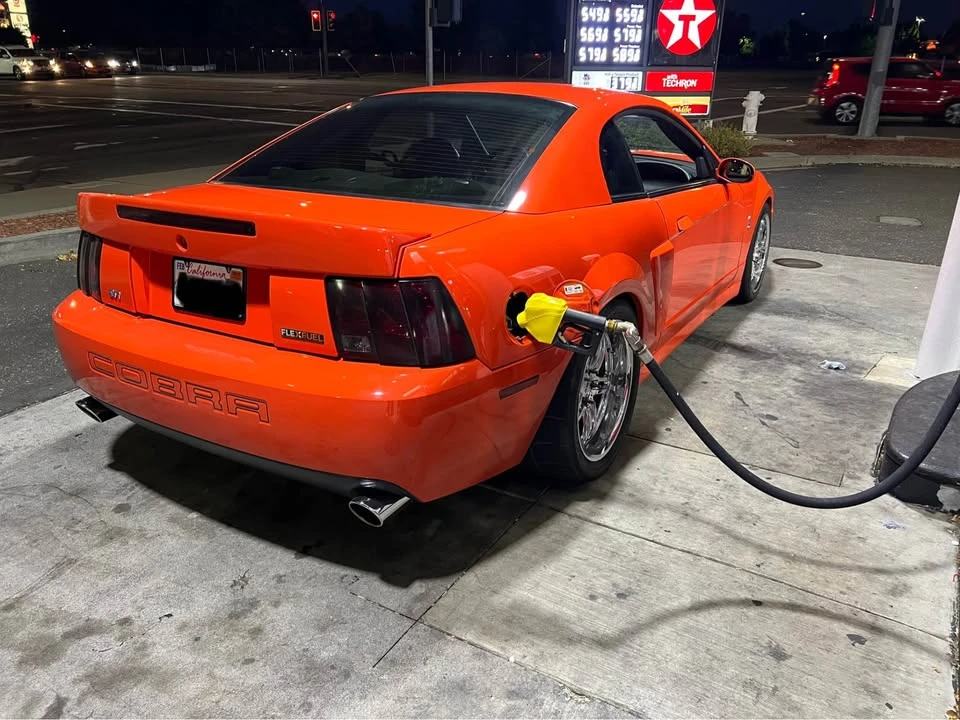 2004 Ford SN95 Mustang Cobra - Image 5 of 14
