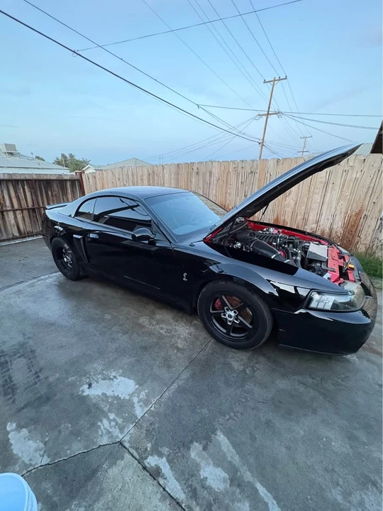 2004 Ford SN95 Mustang Cobra - Image 2 of 13
