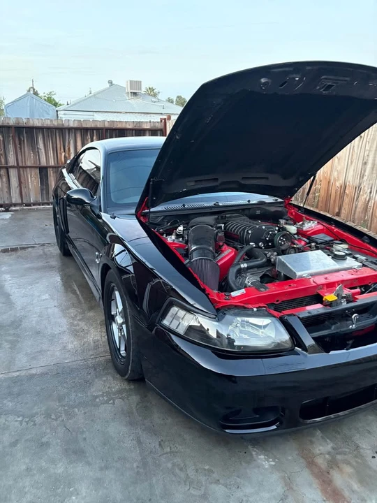 2004 Ford SN95 Mustang Cobra - Image 3 of 13