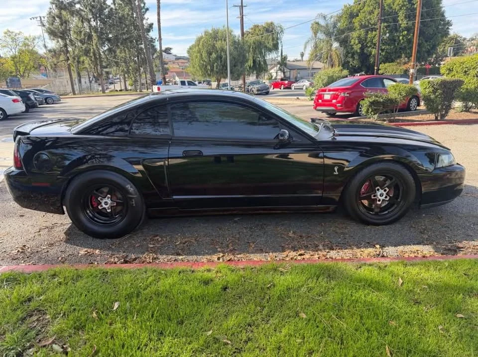2004 Ford SN95 Mustang Cobra - Image 9 of 13