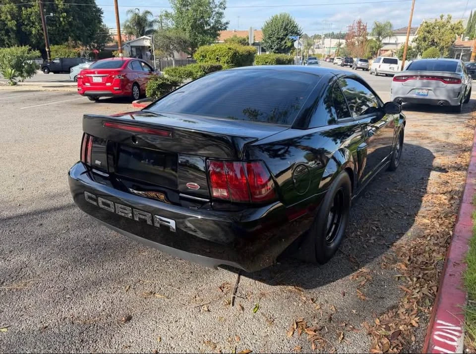 2004 Ford SN95 Mustang Cobra - Image 6 of 13