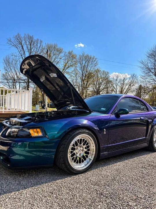 2004 Ford SN95 Mustang Cobra - Image 3 of 5
