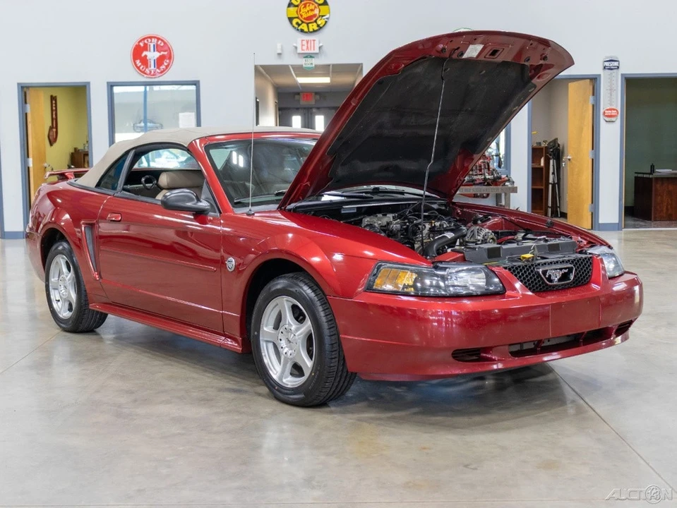 2004 Ford SN95 Mustang - Image 21 of 21