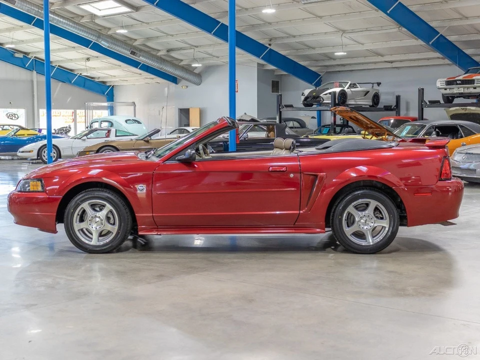 2004 Ford SN95 Mustang - Image 4 of 21