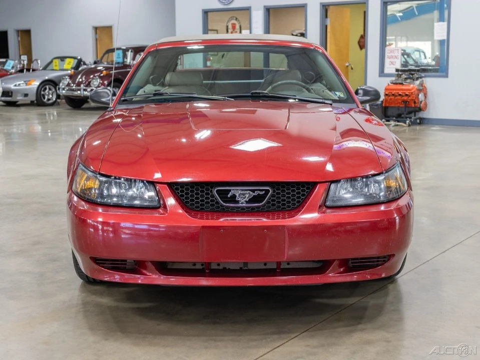 2004 Ford SN95 Mustang - Image 14 of 21