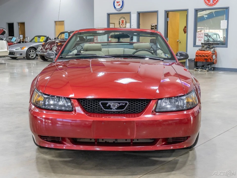 2004 Ford SN95 Mustang - Image 2 of 21