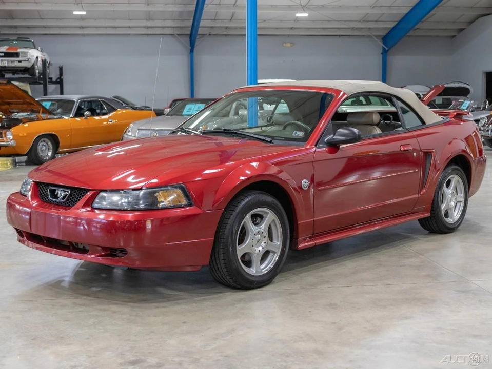 2004 Ford SN95 Mustang - Image 15 of 21
