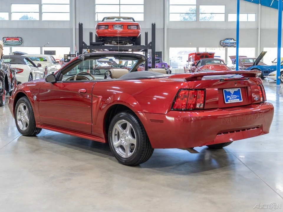 2004 Ford SN95 Mustang - Image 5 of 21