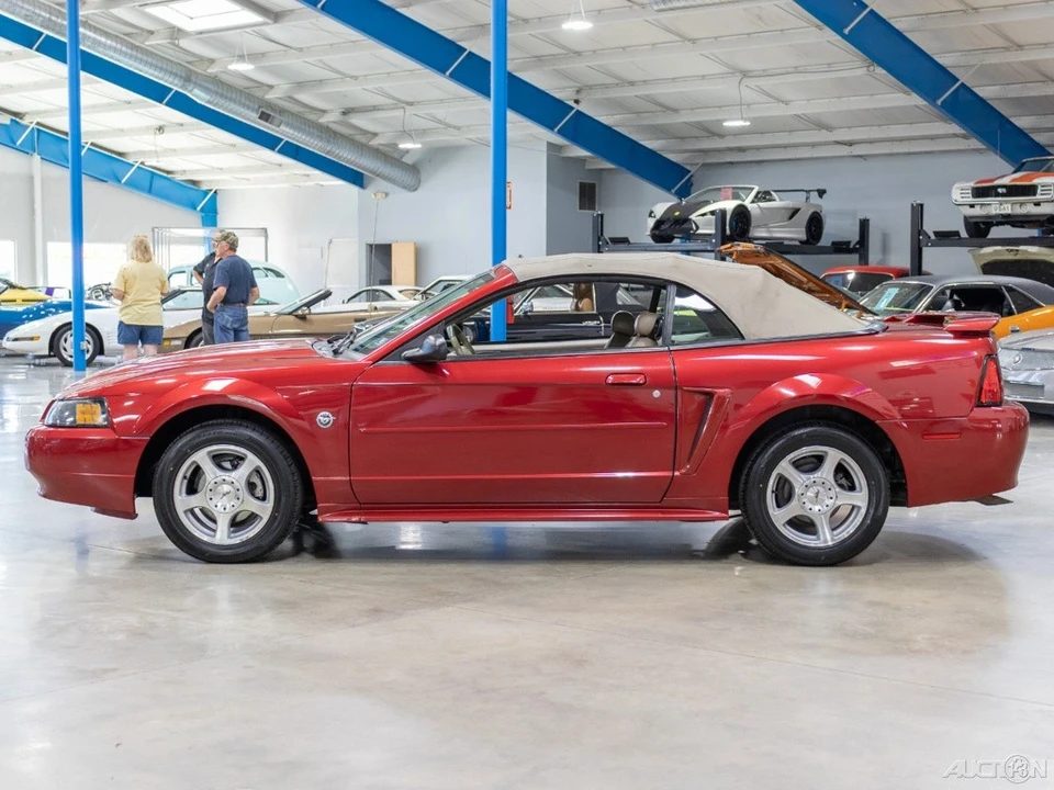 2004 Ford SN95 Mustang - Image 16 of 21