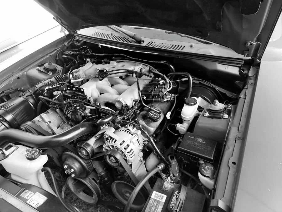 2004 Ford SN95 Mustang - Image 9 of 9