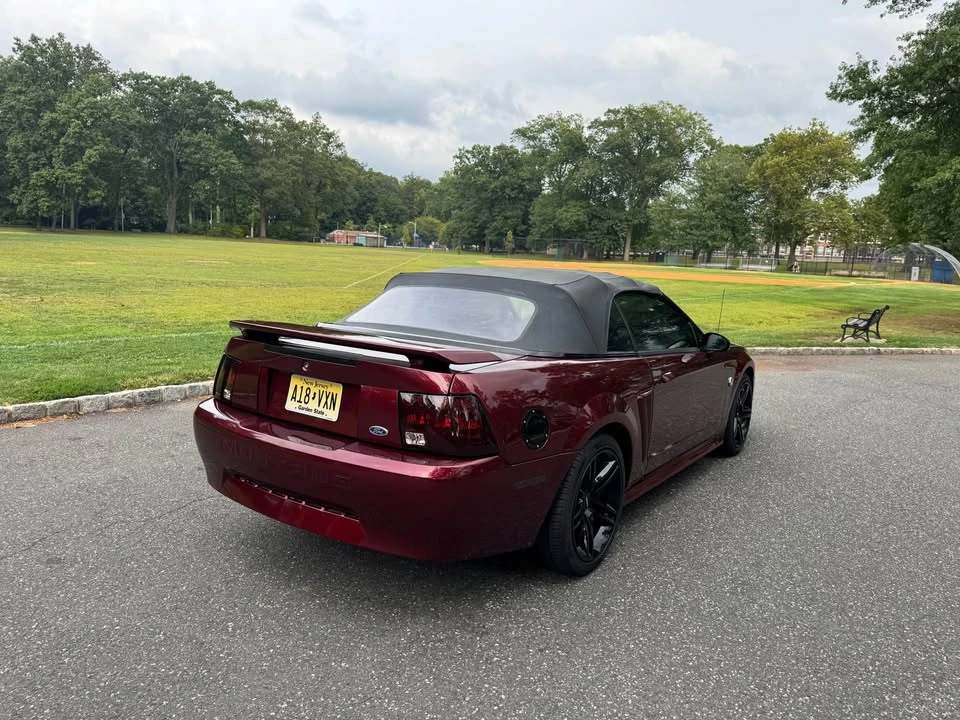 2004 Ford SN95 Mustang - Image 8 of 10