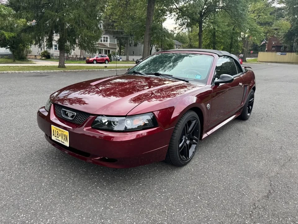 2004 Ford SN95 Mustang - Image 4 of 10