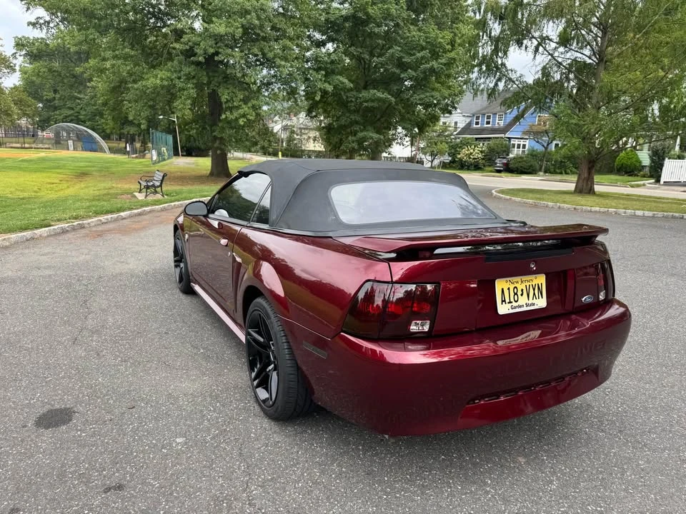 2004 Ford SN95 Mustang - Image 6 of 10