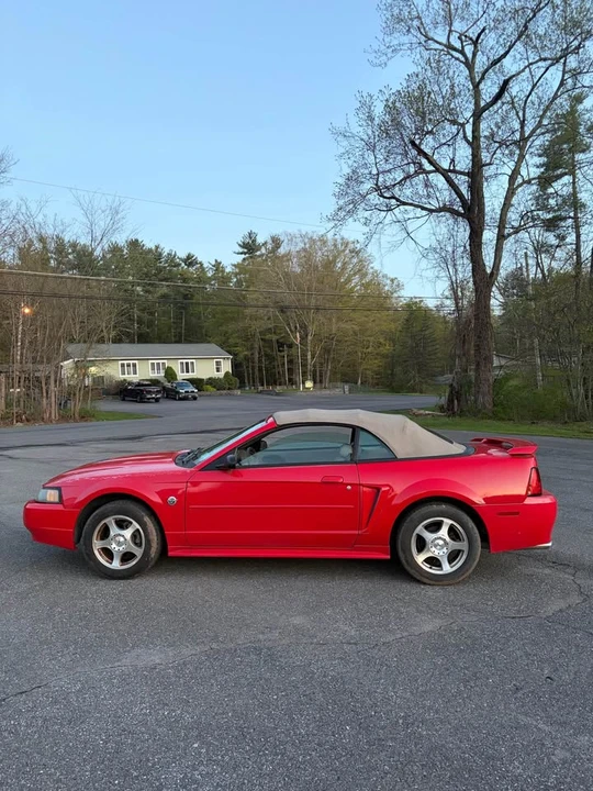 2004 Ford SN95 Mustang - Image 9 of 13