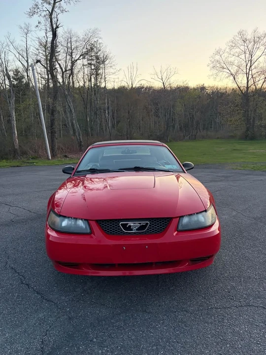 2004 Ford SN95 Mustang - Image 2 of 13