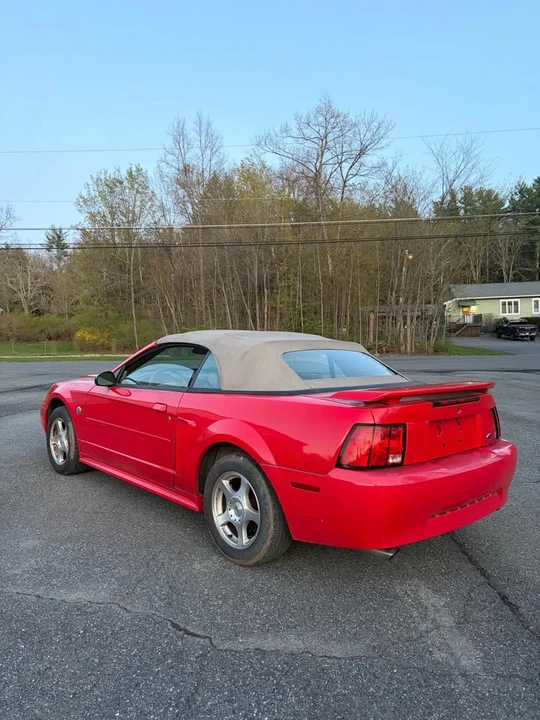2004 Ford SN95 Mustang - Image 8 of 13