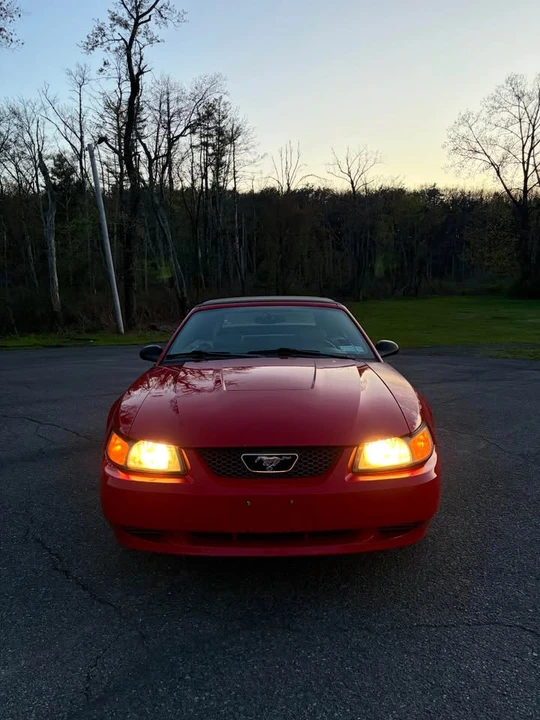 2004 Ford SN95 Mustang - Image 11 of 13