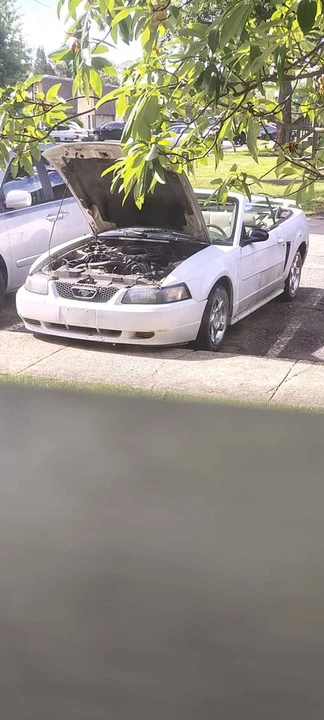 2004 Ford SN95 Mustang - Image 2 of 3