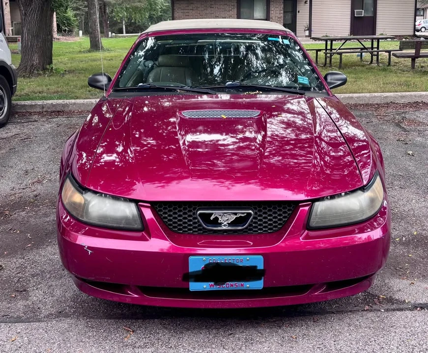 2004 Ford SN95 Mustang - Image 7 of 8