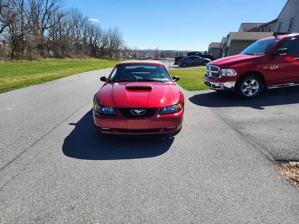 2004 Ford SN95 Mustang - Image 3 of 4