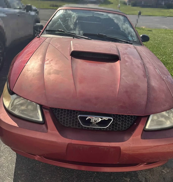 2004 Ford SN95 Mustang - Image 3 of 4