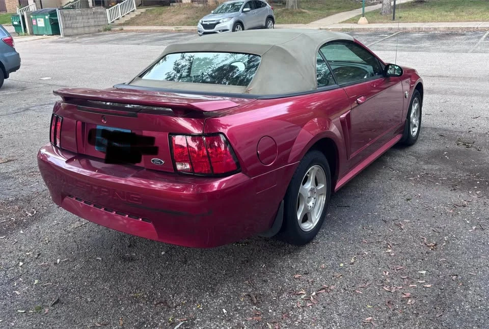 2004 Ford SN95 Mustang - Image 2 of 8