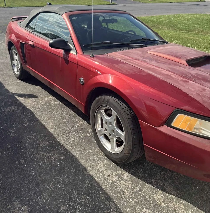 2004 Ford SN95 Mustang - Image 4 of 4