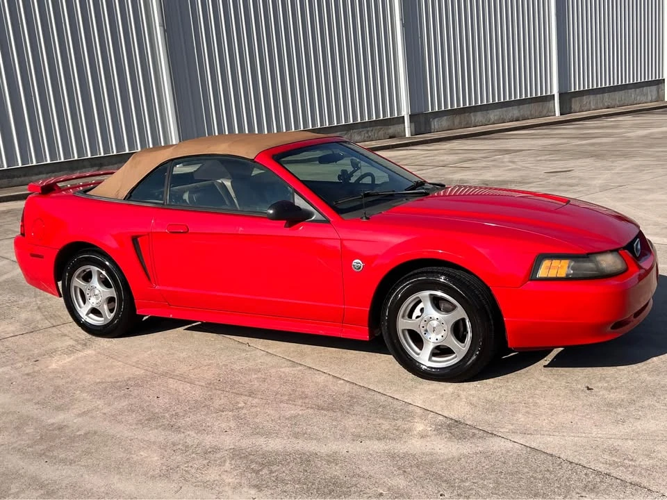 2004 Ford SN95 Mustang - Image 13 of 14