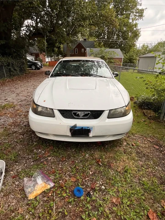 2004 Ford SN95 Mustang - Image 2 of 6