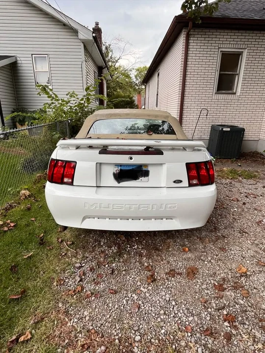 2004 Ford SN95 Mustang - Image 3 of 6
