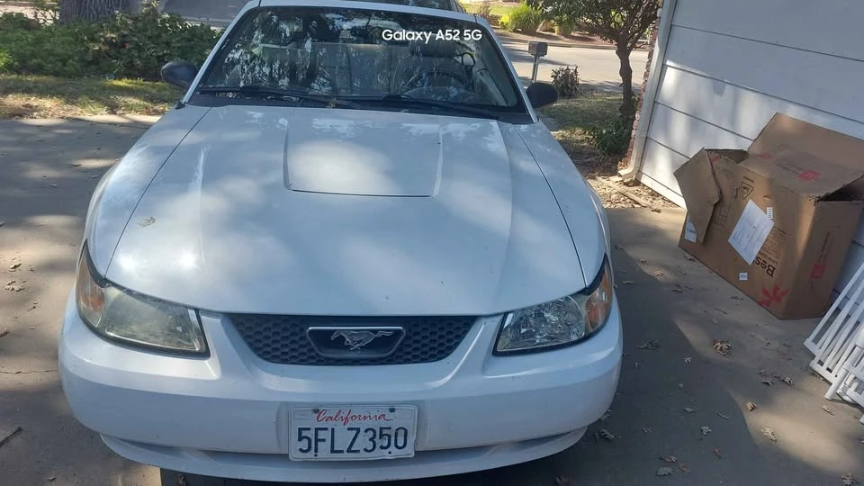 2004 Ford SN95 Mustang - Image 10 of 10