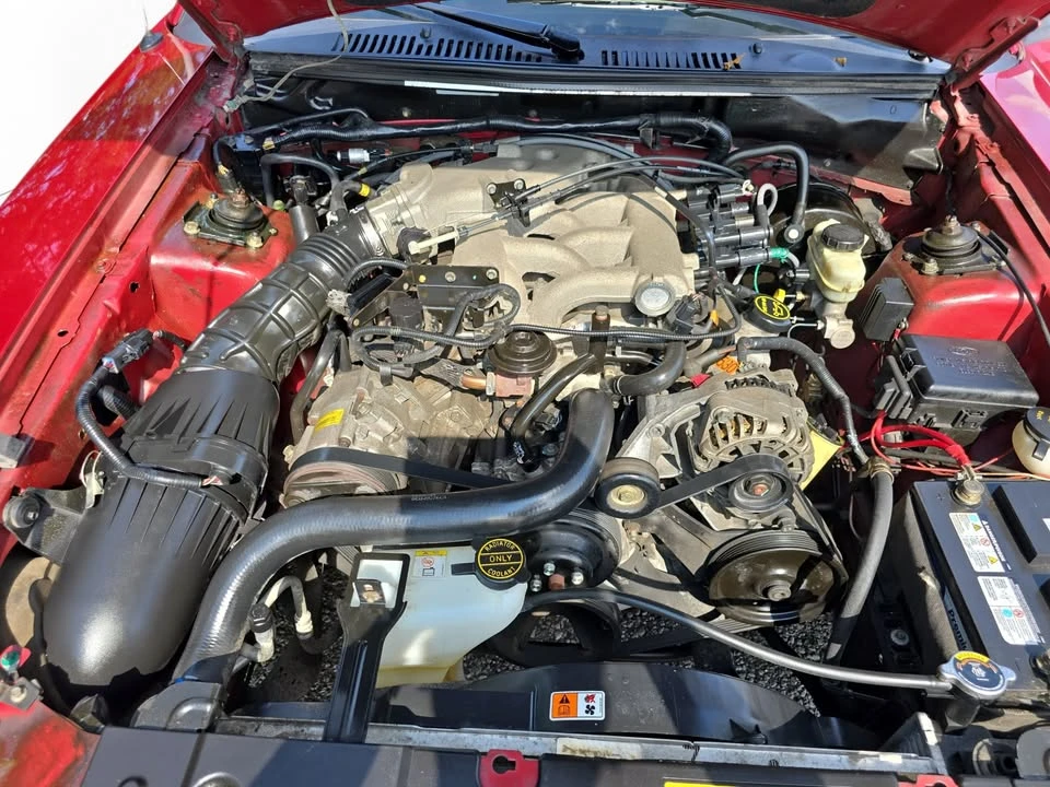 2004 Ford SN95 Mustang - Image 9 of 20