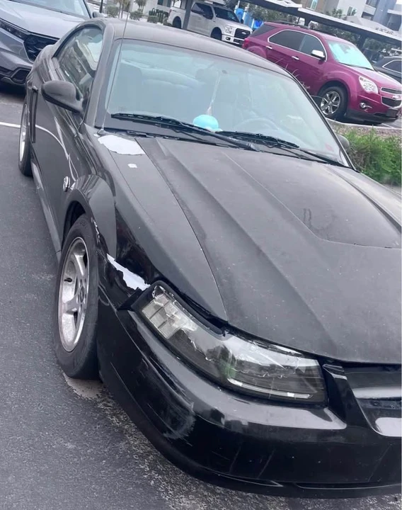 2004 Ford SN95 Mustang - Image 4 of 6
