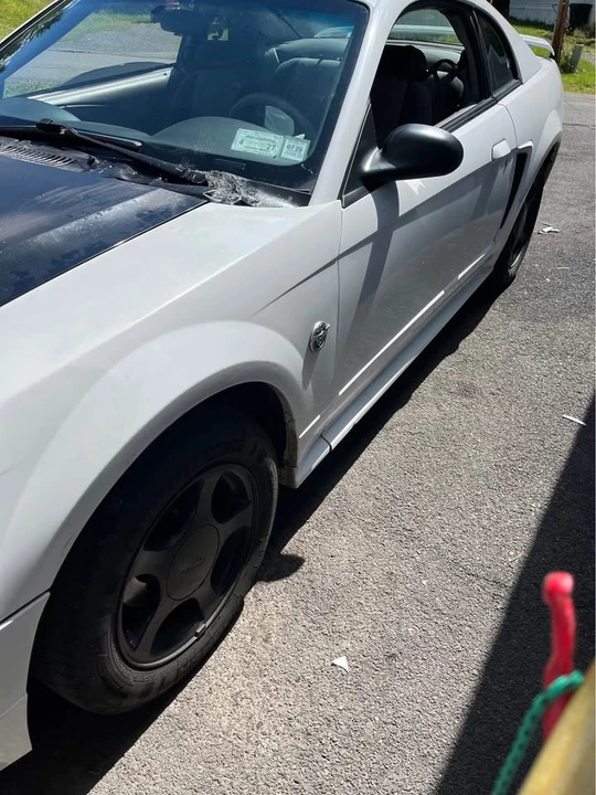 2004 Ford SN95 Mustang - Image 6 of 6