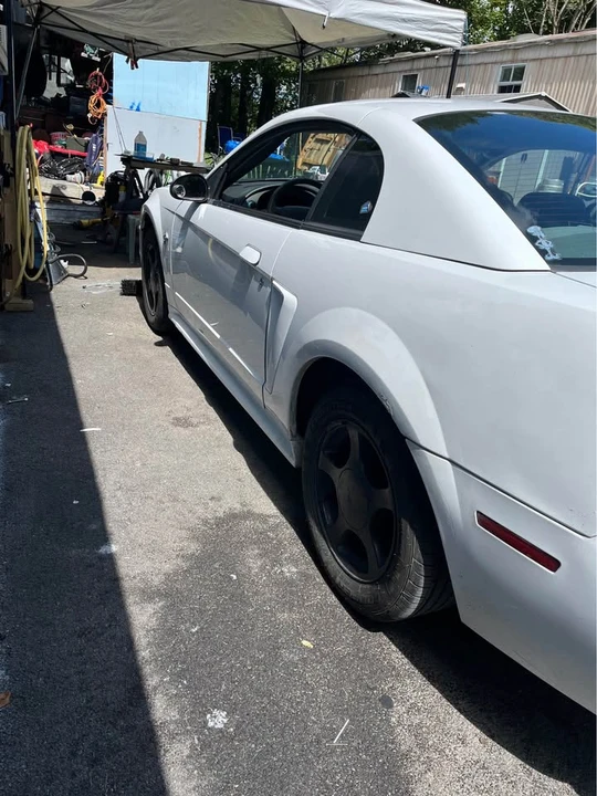 2004 Ford SN95 Mustang - Image 3 of 6