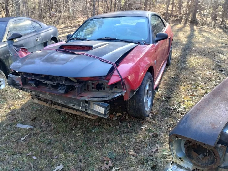 2004 Ford SN95 Mustang - Image 6 of 8