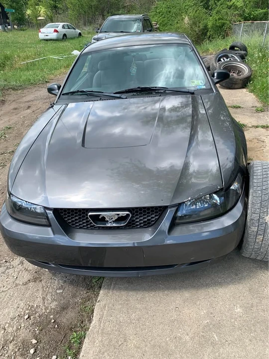 2004 Ford SN95 Mustang - Image 6 of 10
